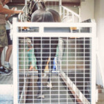 Horse Treadmill